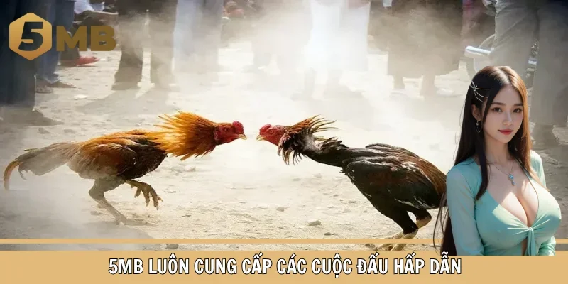 5MB luôn cung cấp các cuộc đấu hấp dẫn