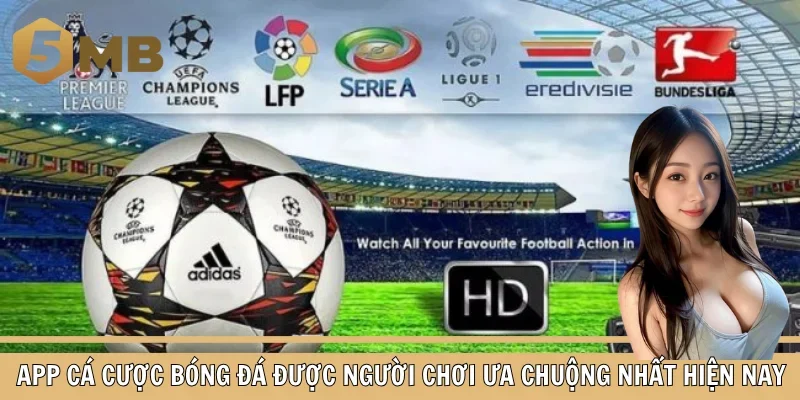 App cá cược bóng đá