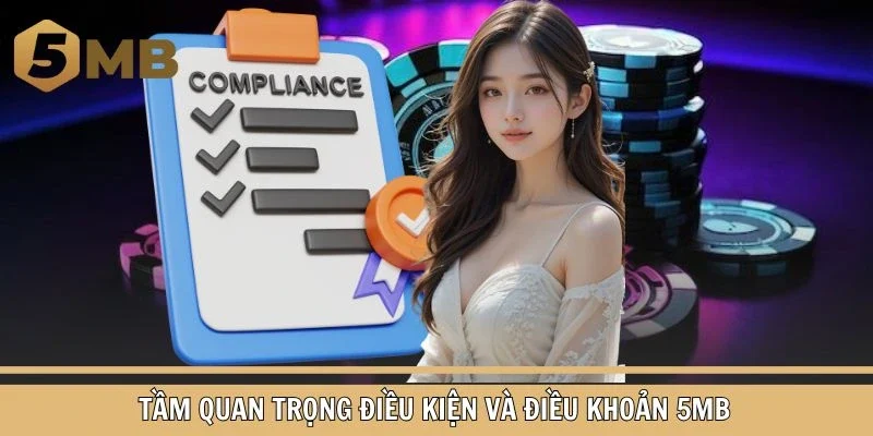 Điều kiện và điều khoản 5MB cùng tầm quan trọng