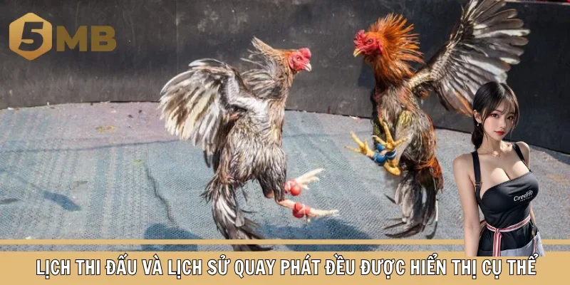 Lịch thi đấu và lịch sử quay phát đều được hiển thị cụ thể