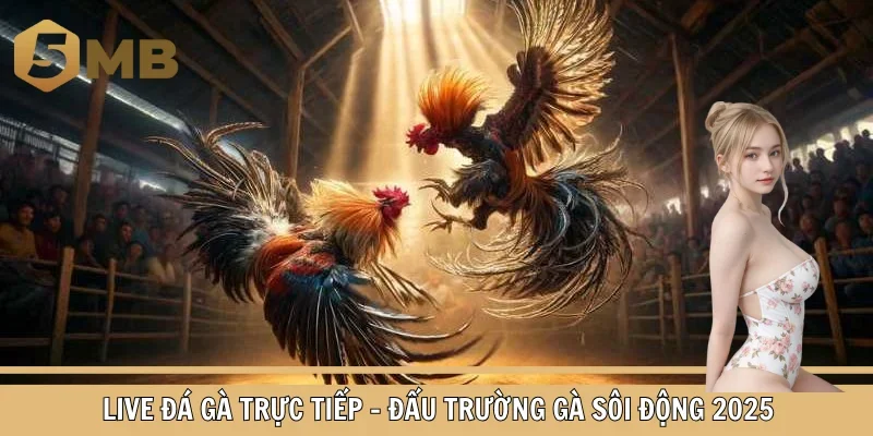 Live đá gà trực tiếp