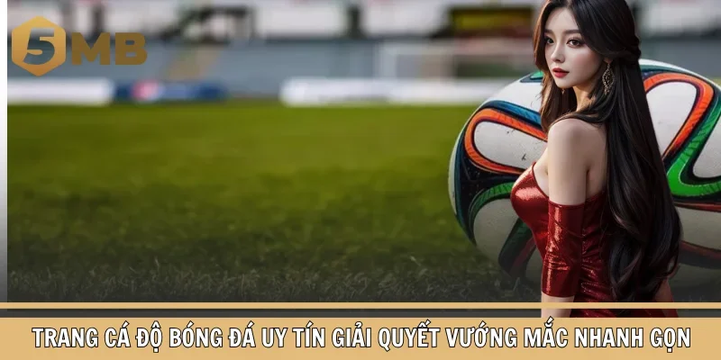 Trang cá độ bóng đá uy tín giải quyết vướng mắc nhanh gọn