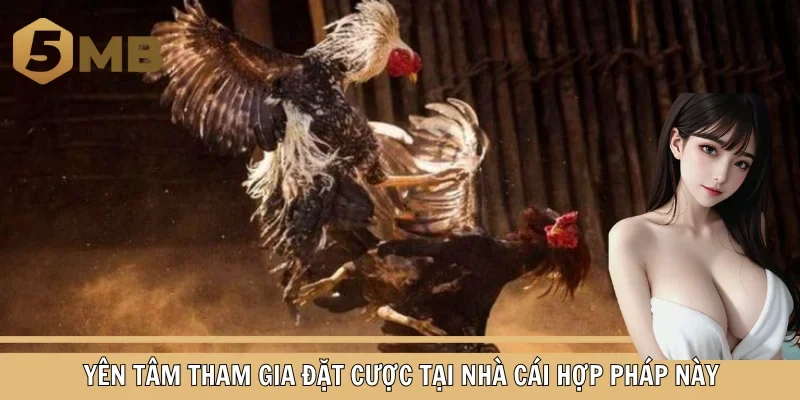 Yên tâm tham gia đặt cược tại nhà cái hợp pháp này